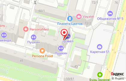 Барс на улице Пушкина на карте