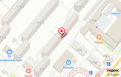 Компания Мастер на Час на улице Менделеева на карте