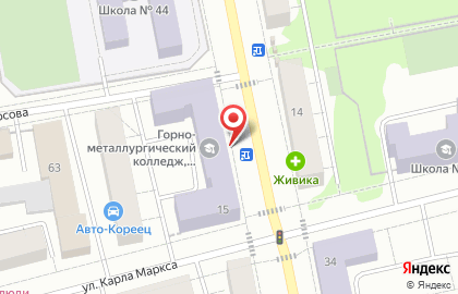 Нижнетагильский горно-металлургический колледж им. Е.А. и М.Е. Черепановых в Нижнем Тагиле на карте
