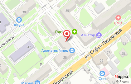 Продовольственный магазин на улице Софьи Перовской на карте