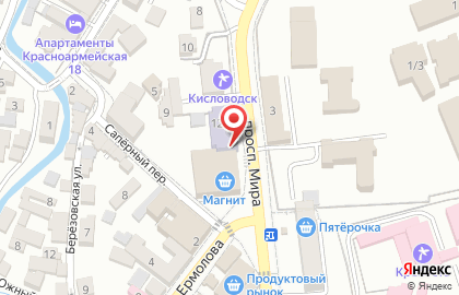 Магазин хозяйственных товаров и бытовой химии Копейкин дом в Кисловодске на карте