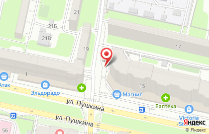 Киоск Ледяной дом на улице Пушкина на карте
