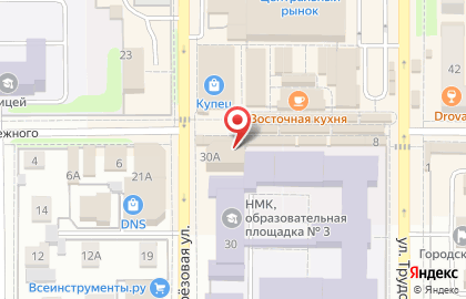 Сеть центров экспресс-обслуживания Билайн на Берёзовой улице в Новомосковске на карте