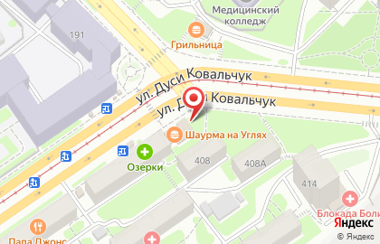 ОРТЕКА Новосибирск Дуси Ковальчук 398а на карте