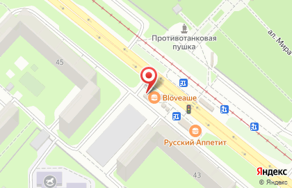 Магазин садово-хозяйственных товаров в Октябрьском районе на карте