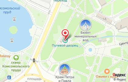 Путевой дворец Петра Первого на карте
