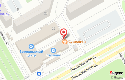 Киоск по продаже фруктов и овощей на Лососинском шоссе на карте