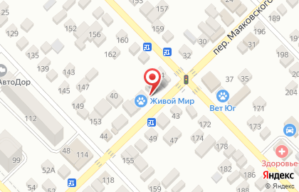 Магазин зоотоваров Живой мир в переулке Маяковского на карте
