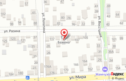 Меховая фабрика Bajena на карте