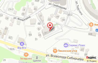 ИП Скворцова Мария Владимировна на улице Толстого на карте