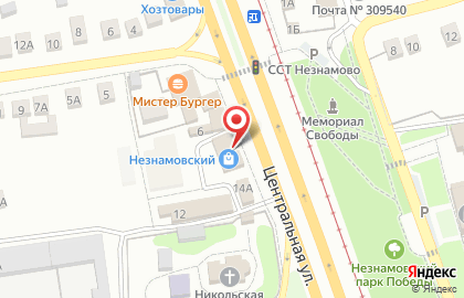 Магазин автозапчастей АвтоРесурс на Центральной улице на карте