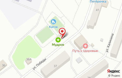 Магазин хозяйственных товаров на ул. Победы (Тосненский район), 39а на карте