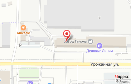Компания Dream Stall на карте