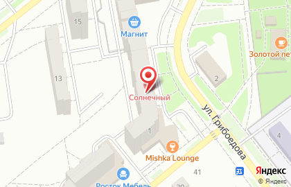 Магазин Самоделкин на улице Грибоедова на карте