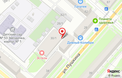 Частное охранное предприятие Лавина на карте