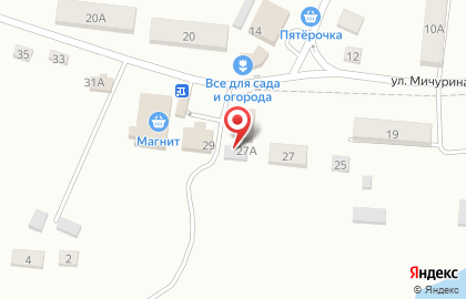 Торговый центр МТС на улице Мичурина на карте