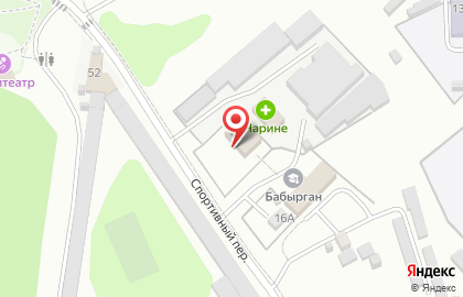Берёзка в Спортивном переулке на карте