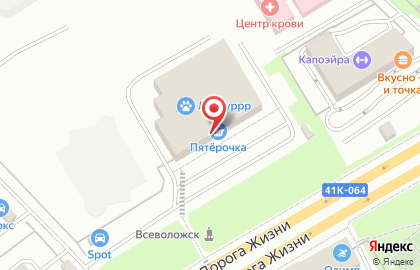 Магазин посуды и хозтоваров в Санкт-Петербурге на карте