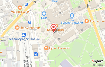 Николаенков на улице Тургенева на карте