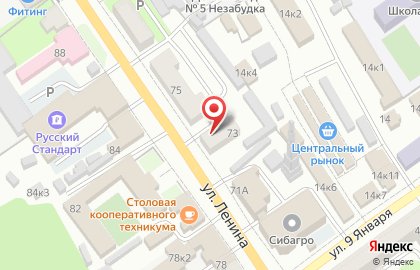 Частное охранное предприятие Омега на улице Ленина на карте