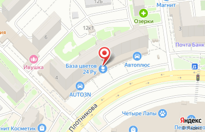 Дружище на улице Плотникова на карте