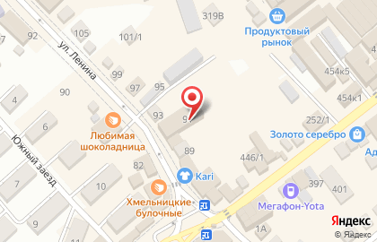 Социальная аптека единая сеть аптек на улице Ленина, 91 в Михайловске на карте