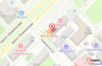 Магазин-бар разливных напитков Beer & Honey на Карельской улице на карте