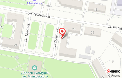Магазин Андреич на улице Пушкина на карте