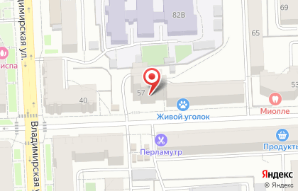 Избирательный участок №454 на улице Труда на карте