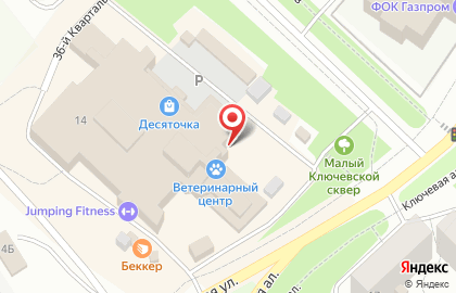 Магазин цветов в Петрозаводске на карте