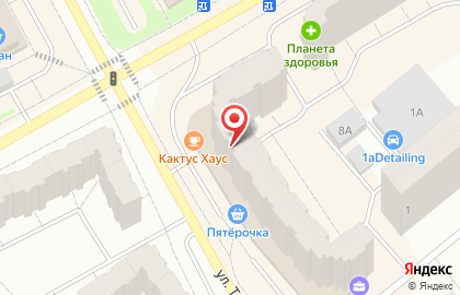 Панда на улице Толмачёва на карте