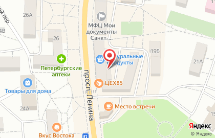 Магазин сувениров на проспекте Ленина (Курортный район), 19 на карте
