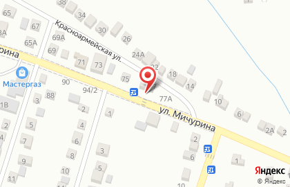 Ветеринарная клиника Айболит на улице Мичурина на карте