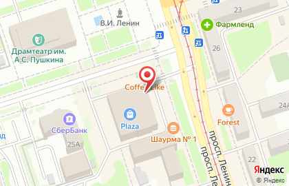 Магазин Первый меховой на проспекте Ленина на карте
