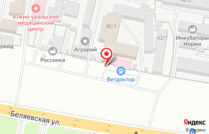 Торговая компания Оренбургзооветснаб на Беляевской улице на карте