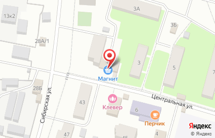 Супермаркет Магнит у дома на Центральной улице на карте