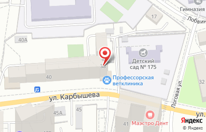 Профессорская ветеринарная клиника на улице Карбышева на карте