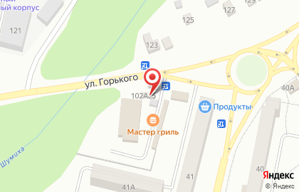 Официальный дилер Лукойл Торговый Дом Автомир на улице Максима Горького в Елабуге на карте