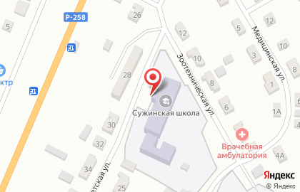 Сужинская средняя общеобразовательная школа на карте