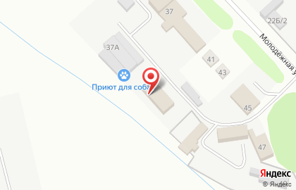 Пункт помощи бездомным животным Дорога домой на карте