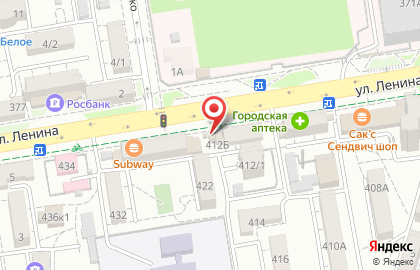 Цветочный салон Незабудка на улице Ленина на карте