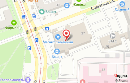 Супермаркет цифровой и бытовой техники DNS в Тракторозаводском районе на карте
