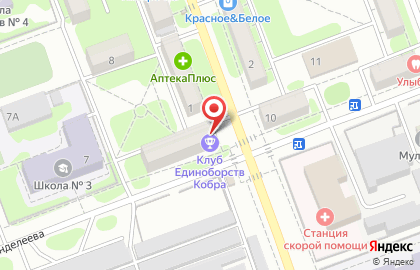 Спортивный клуб Айкидо Покровск-Энгельс на улице Менделеева на карте