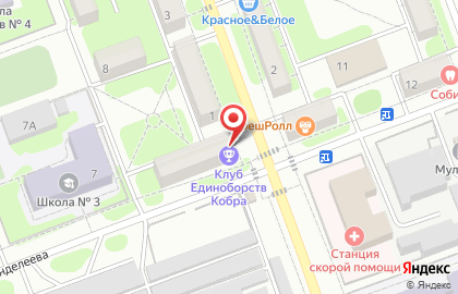 Клуб единоборств Кобра на улице Менделеева на карте