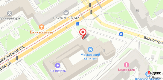 Ветеринарный центр Белый Бим в Приморском районе на карте