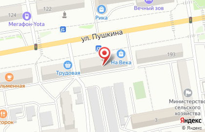 Фирменный магазин Kruger Haus на улице Пушкина на карте