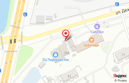 Шиномонтажная мастерская на улице Дежнева на карте