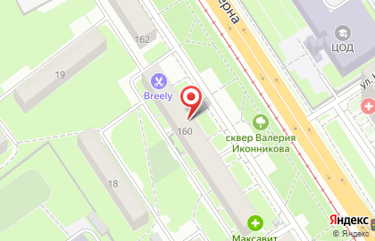 Зоомагазин Дружок на улице Коминтерна на карте