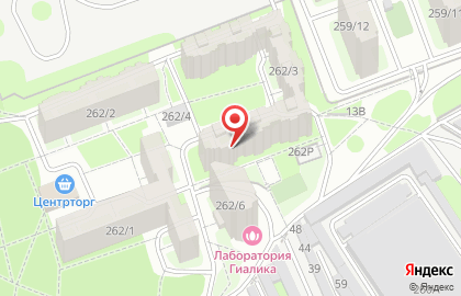 Компания Техномикс на карте