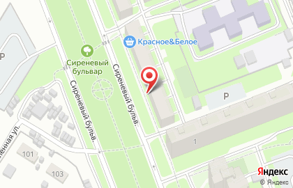 Псковская областная библиотека для детей и юношества им. В.А. Каверина на карте